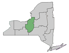 03 Region Map